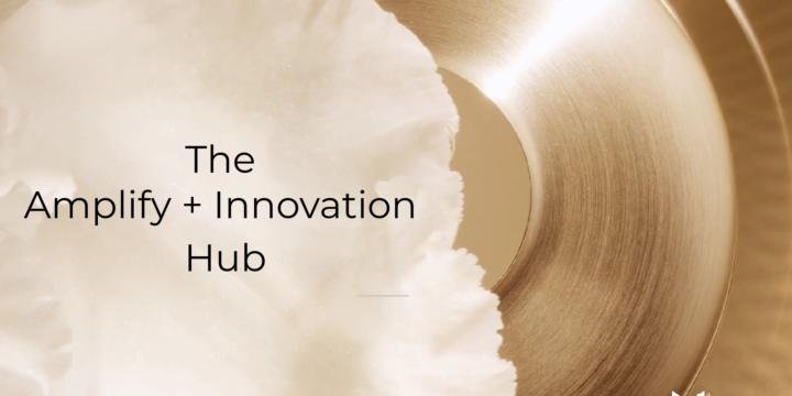 The Amplify + Innovation Hub