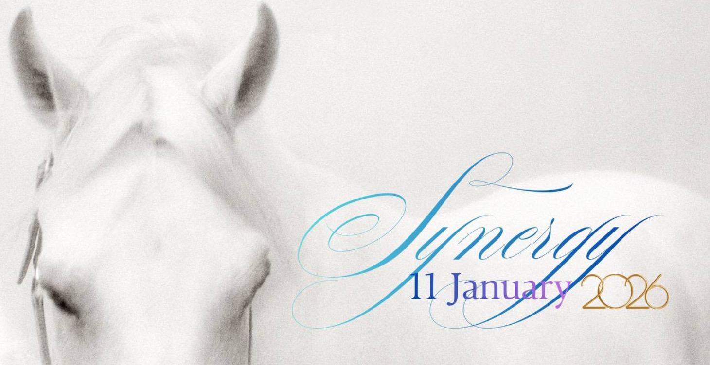 Synergy 2026