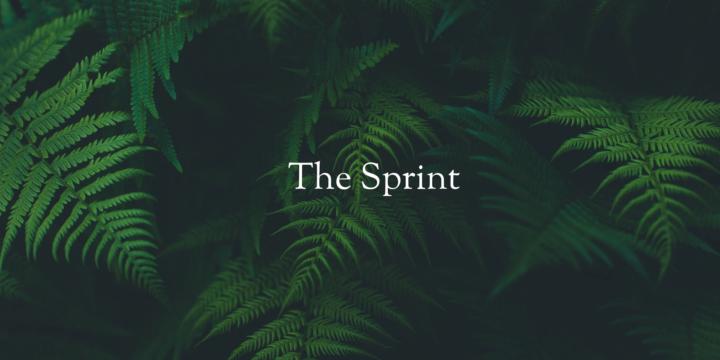 The Sprint - August! 