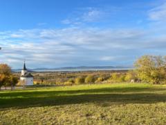 Varga-Juhasz Viktória