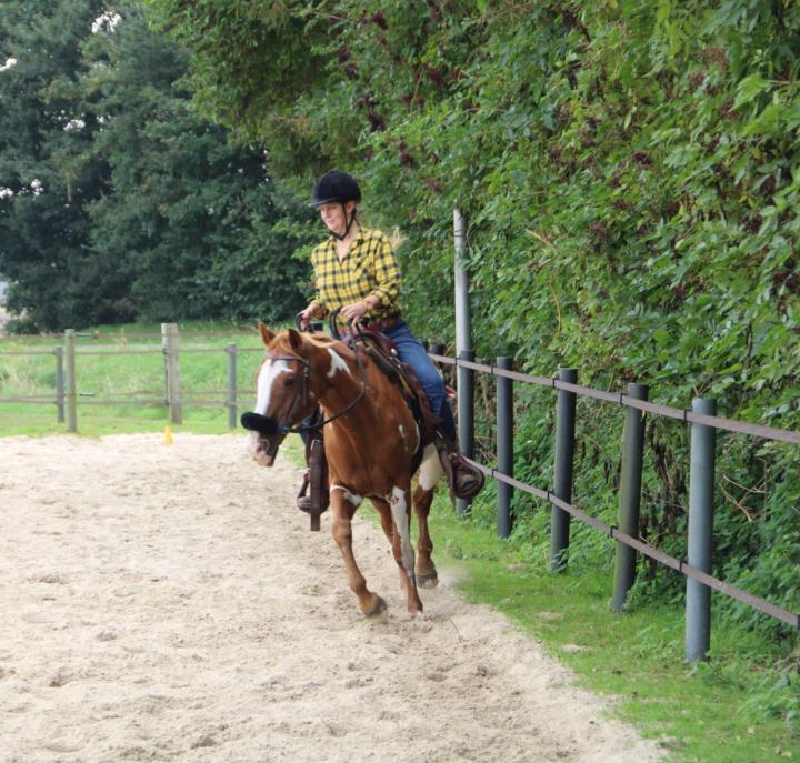 Denise Notenboom