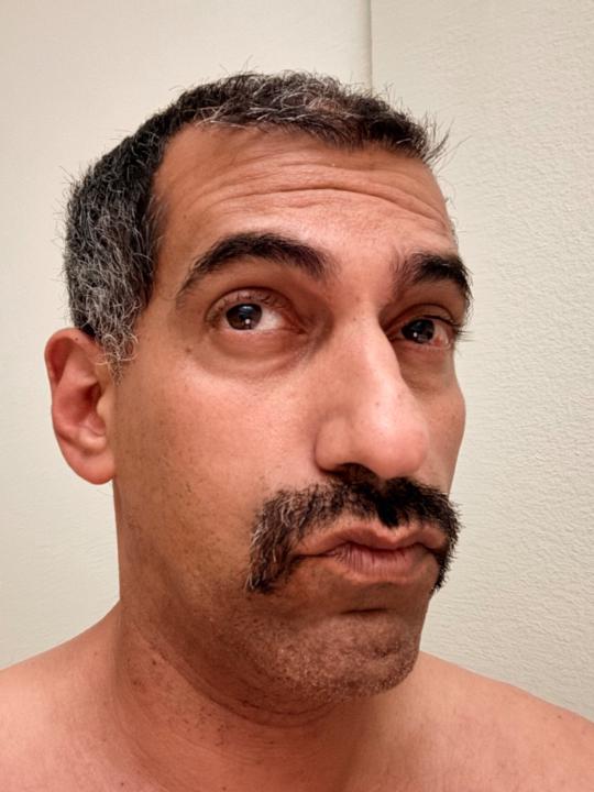 Ali Hamtaee