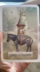 Caro Jofre Flores