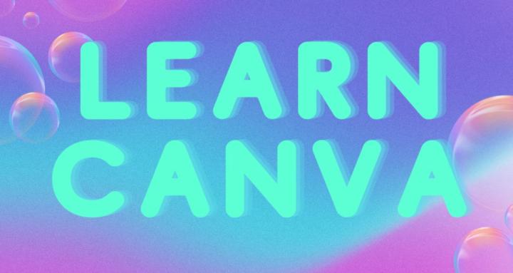 Learn Canva Basics!