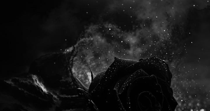 Black Roses Circle