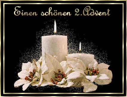 Knut Scher