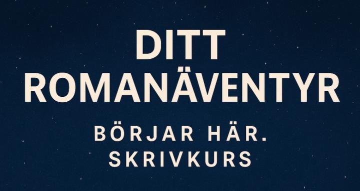 Ditt romanäventyr