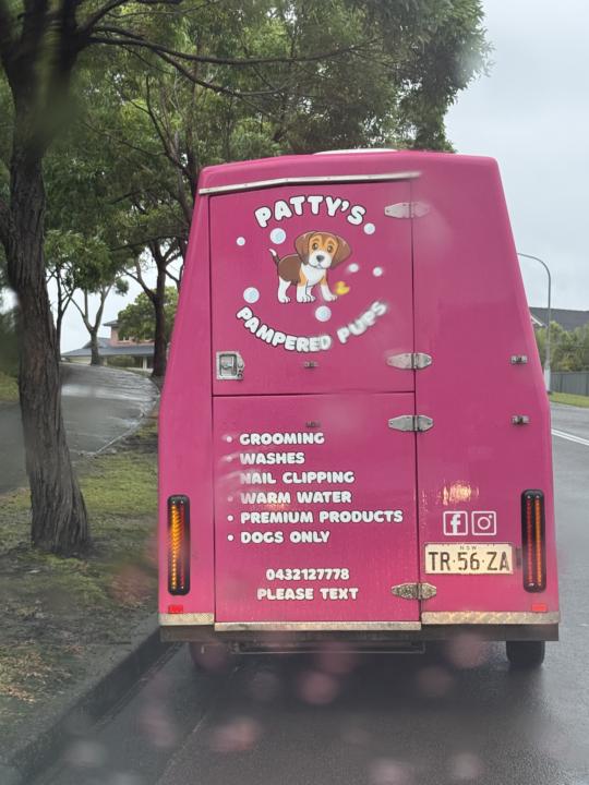 Friday Fun: What does a Mobile Dog Washing business have to do with coaching? 