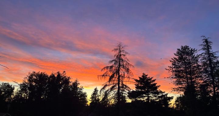 Intentional Connections