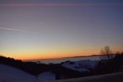 Cornelia Gottesleben