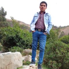 Hualdir Ccorisoncco allcca