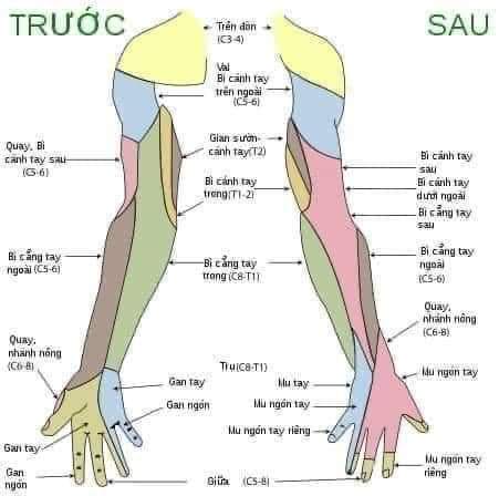 NGUYÊN NHÂN TÊ BÌ TAY & CÁCH ĐIỀU TRỊ