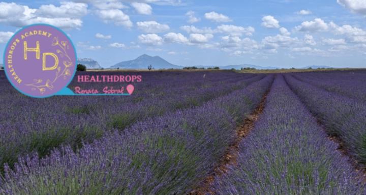 Aromahealers - Essential Oils