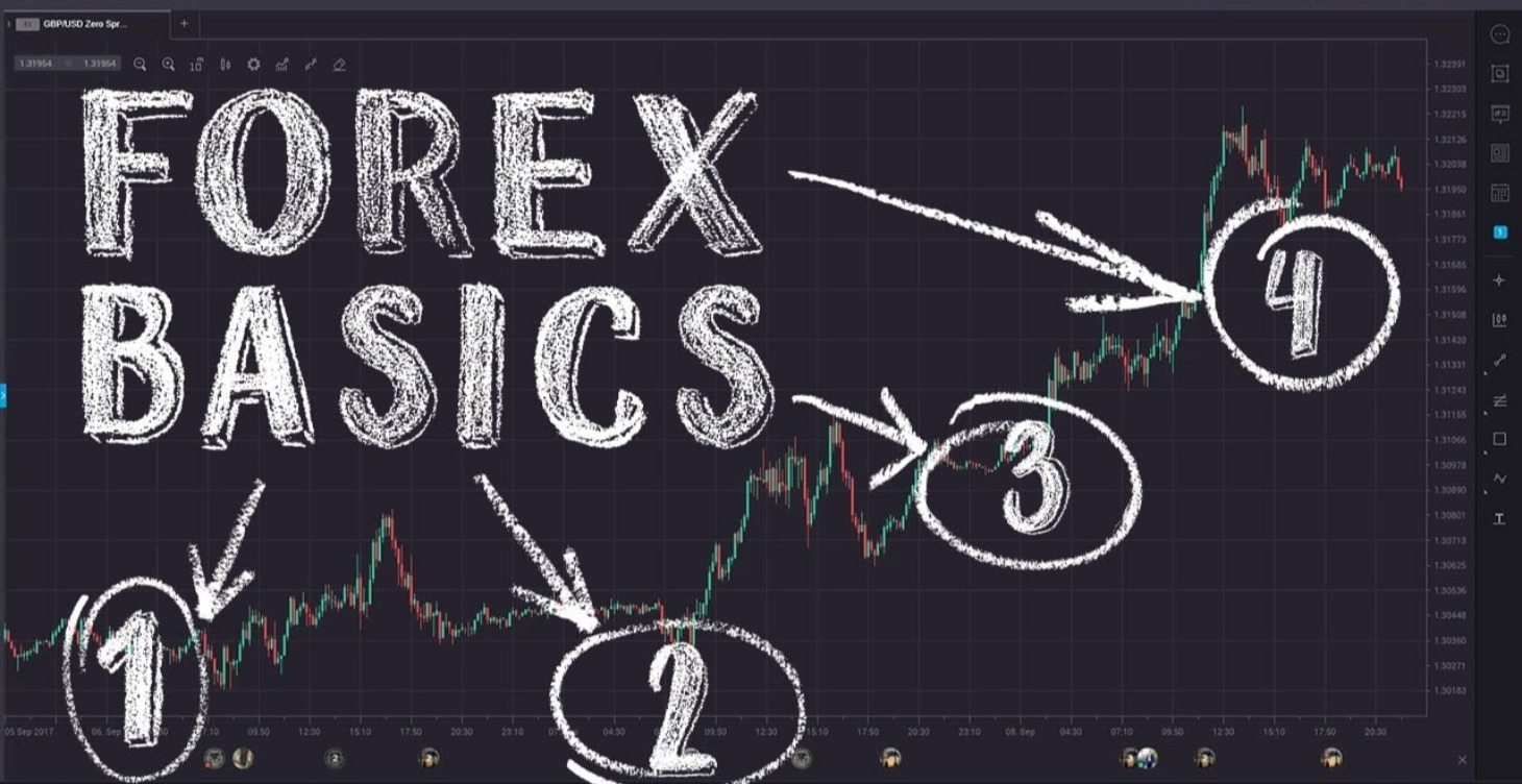 Currency in Motion: The Beginner’s Guide to Forex