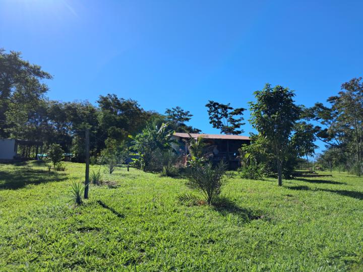 Pioneer Work on PsiloHealing in Paraguay