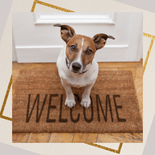 Greetings! Come on in.