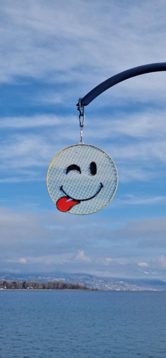 Frédéric Braillard