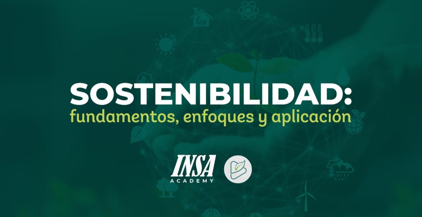 Sostenibilidad: fundamentos, enfoques y aplicación