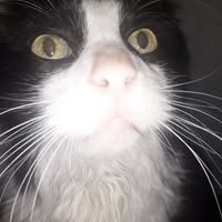 Beatriz Rejas valiente