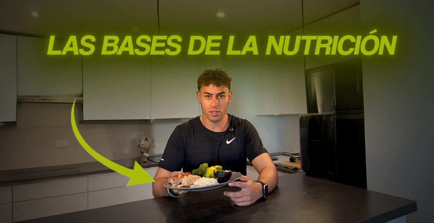 Las bases de la nutrición