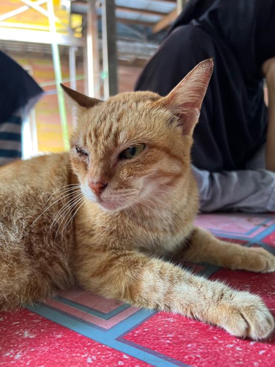 María Camila Bastidas Domínguez