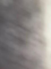 K N