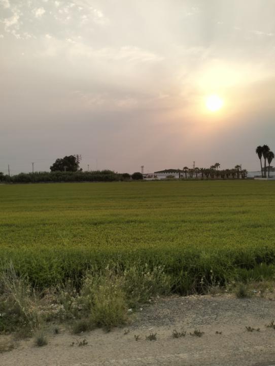 💚Green Flags: señales de una relación sana y consciente 