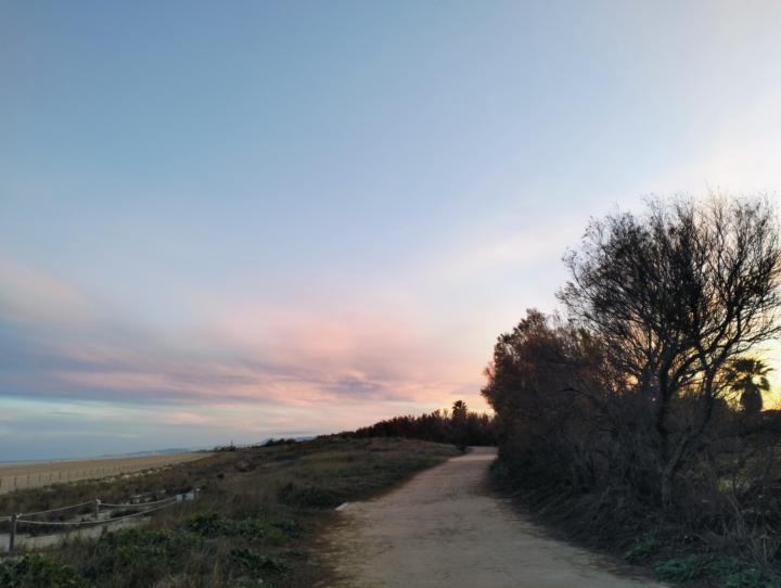 Responsabilidad afectiva: amar sin dañar