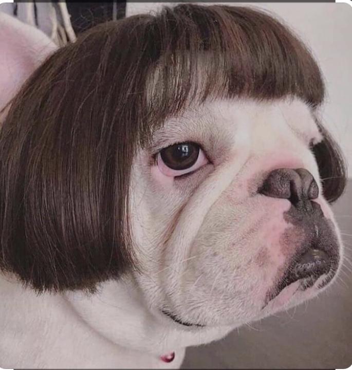 Rodrigo Andrés camacho