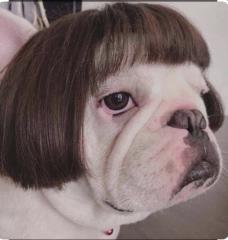 Rodrigo Andrés camacho