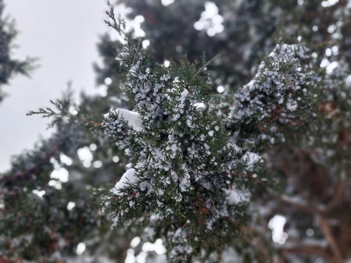 Yaima Rivero Llerena