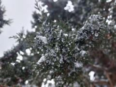 Yaima Rivero Llerena