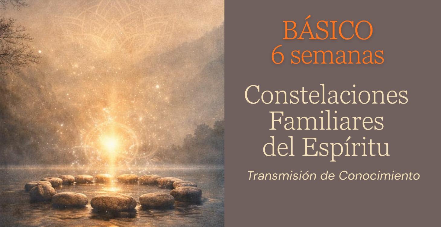 Programa Básico de Transmisión de Conocimiento