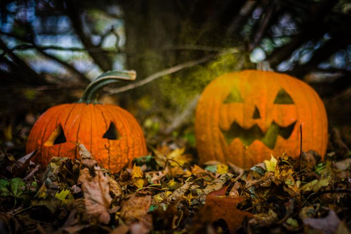 My neighbors are for sure going to call a welfare check at some point. LOL