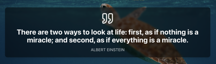Quote van de dag :-)