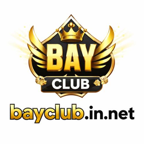 Bayclub In net