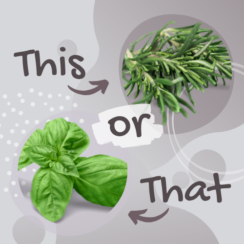 This or That: Herbal Tea Edition