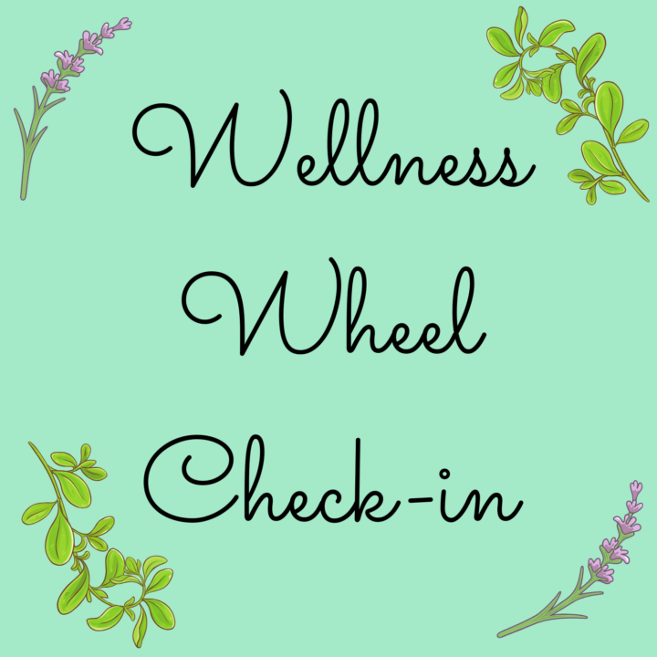 Wellness Wheel Check-in