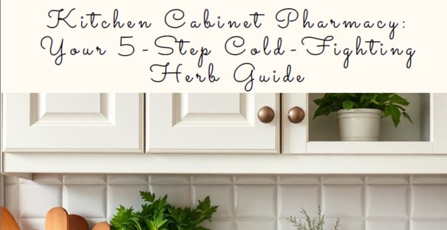 Kitchen Cabinet Pharmacy