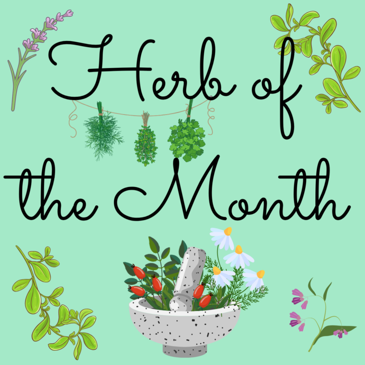 October, Herb of the Month