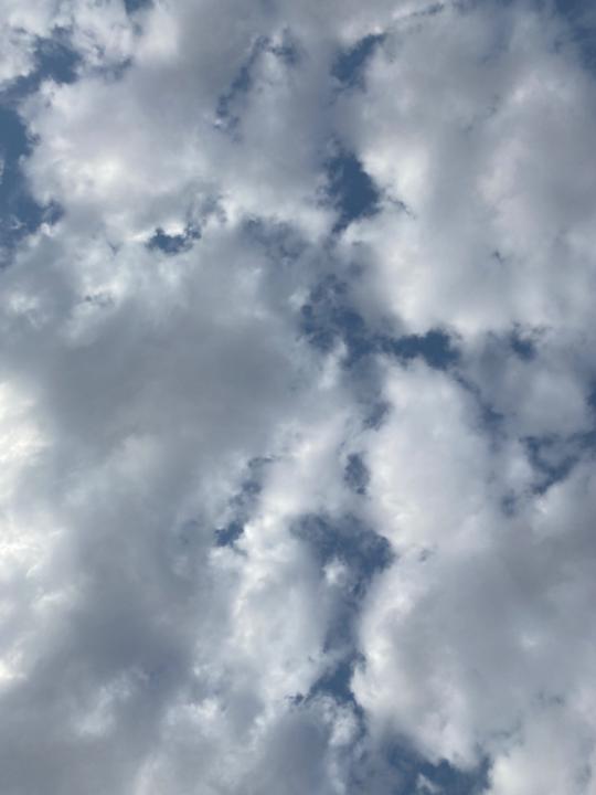 نجلاء الحربي