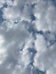 نجلاء الحربي