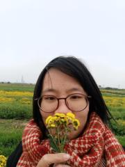 Ngo Dinh