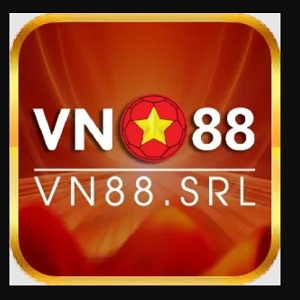 Vn Srl
