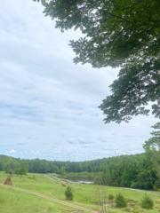 Gabrielle Demosthene