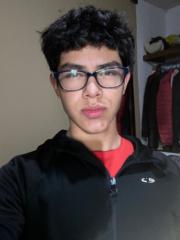 Gael Hernández