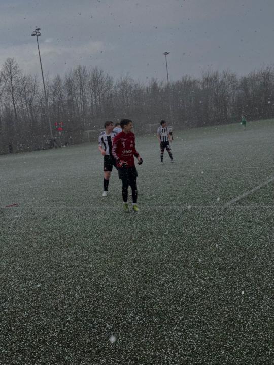 Villum Ljungberg hasfeldt