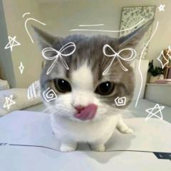 Arya K