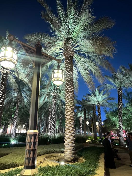 Shereen Khaled