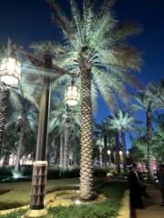 Shereen Khaled